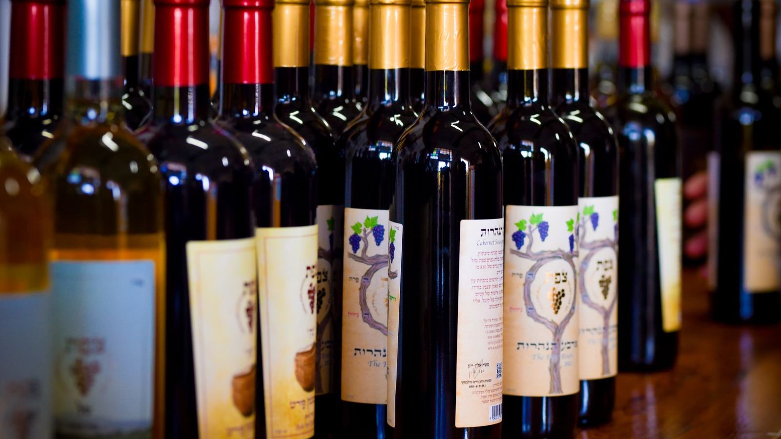 Rows of red and white wine bottles lined up on a bottle-shop shelf, the kind of everyday range where affordable organic wines are found